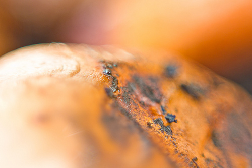 Charred orange and black organic texture, extreme close up