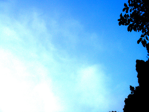 Bright blue sky with clouds and dark leaves