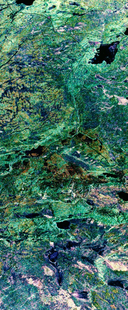 Green false-color radar image of forests and lakes from orbit
