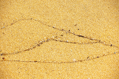 Yellow sand with a drawn line