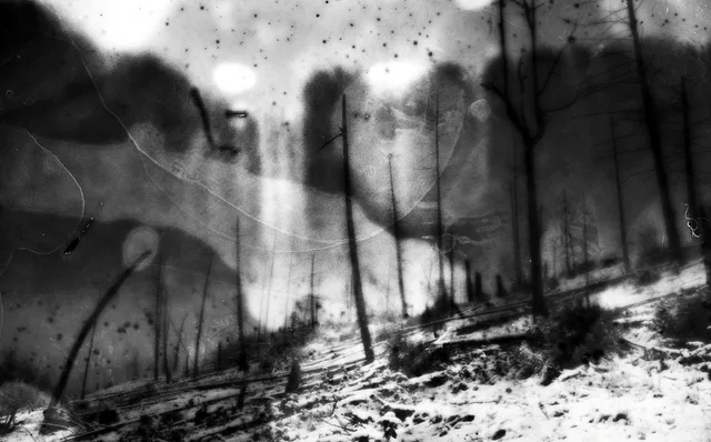 Soft shadows and blurred forms across a weathered surface.