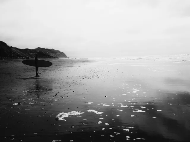 A surfer carrying a board beside an open misty beach.