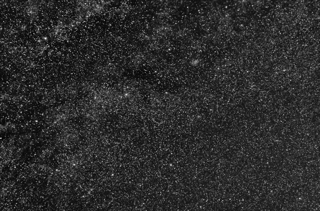 A dense field of stars in the Milky Way.