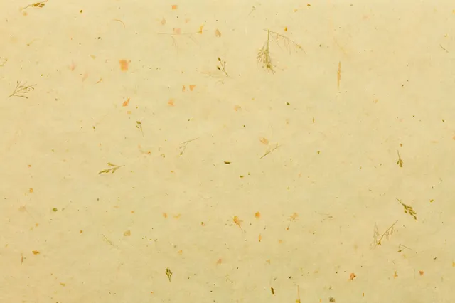 Natural fiber paper texture