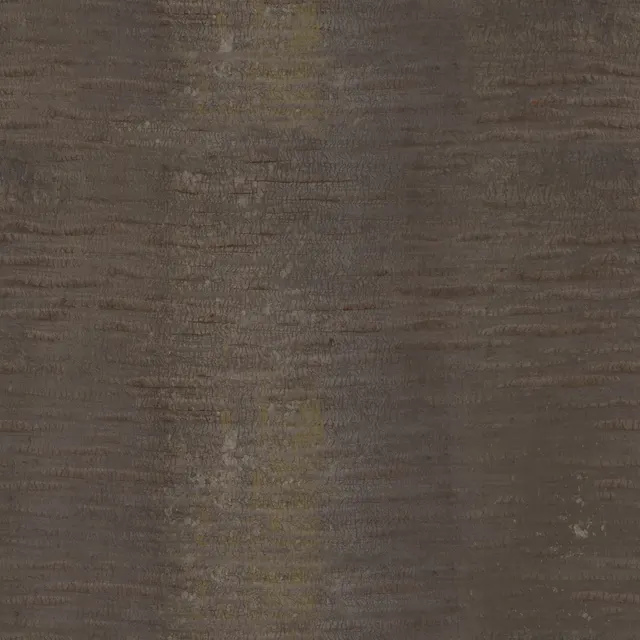 Palm bark texture