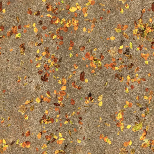 Forest floor texture